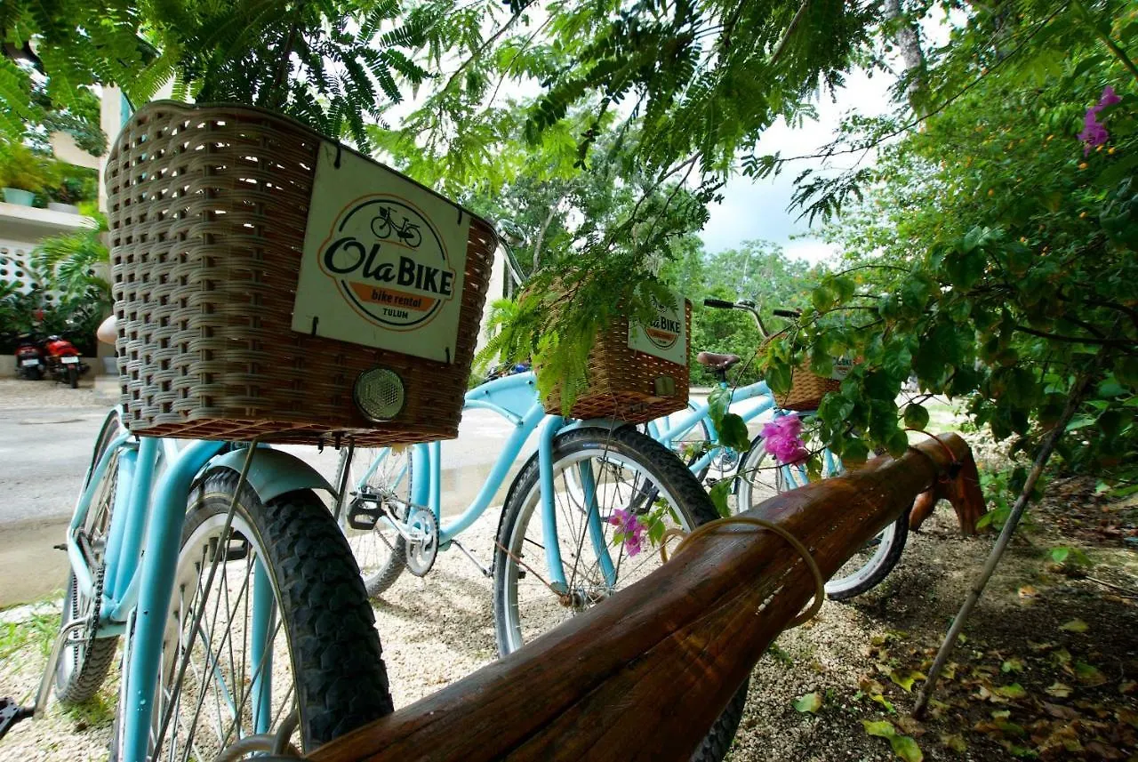 ****  Hotel Tiki Tiki Tulum Mexico